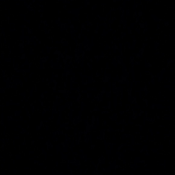 Meet your Posher, Jacquelyn - Picture 1 of 1